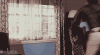 out window.gif