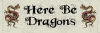here_be_dragons.png
