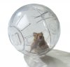 Hamster Ball.jpg