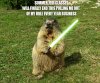 lightsaber-fun-humor-sword-grass-woodchuck-animals-800x960.jpg