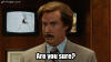 Anchorman-2-The-Legend-Continue-Ron-Burgundy-Will-Ferrell-Are-You-Sure-Gif.gif