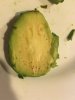MF avocado.jpg