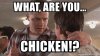 what-are-you-chicken.jpg
