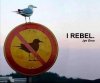 I_rebel.jpg